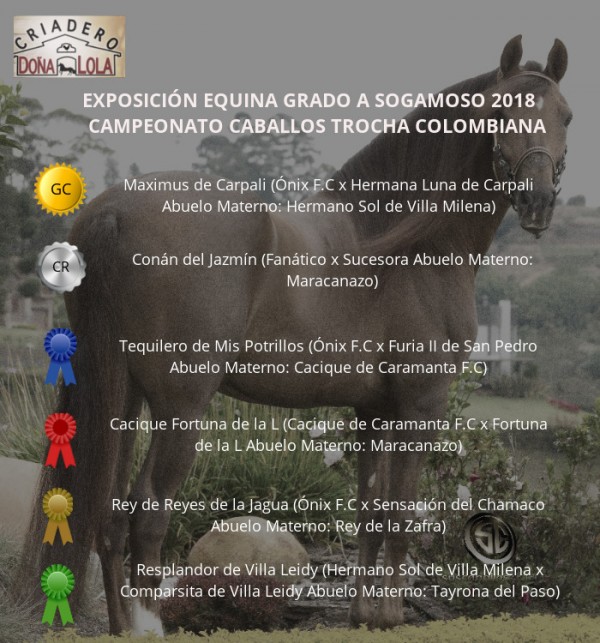 https://www.suscaballos.com/RESULTADOS Exposición Equina Grado A Sogamoso 2018 - TROCHA COLOMBIANA
