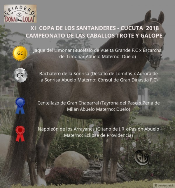 https://www.suscaballos.com/VÍDEO: Jaque Campeón, Bachatero Reservado Trote Y Galope, Cúcuta 2018