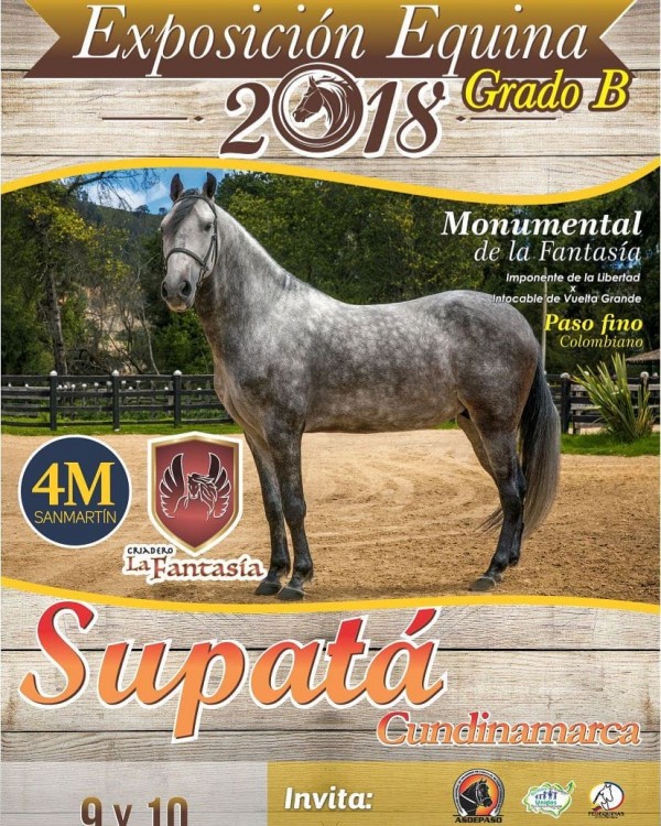 https://www.suscaballos.com/RESULTADOS XVII Exposición Equina Grado "B" SUPATA 2018 - PASO FINO COLOMBIANO