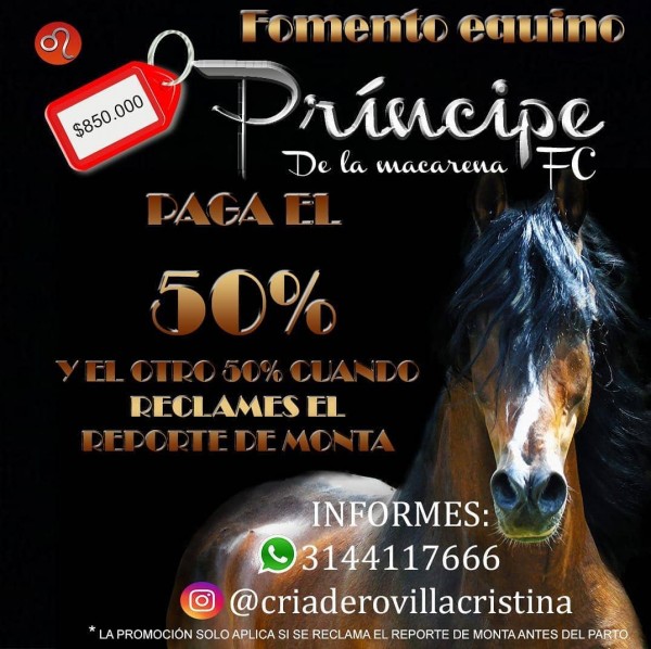 https://www.suscaballos.com/Fomento Equino Príncipe de la Macarena F.C