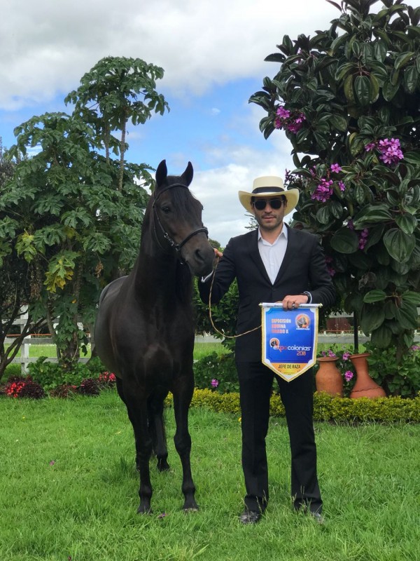 https://www.suscaballos.com/Barba Roja FC, Declarado en Expocolonias 2018 JEFE DE RAZA