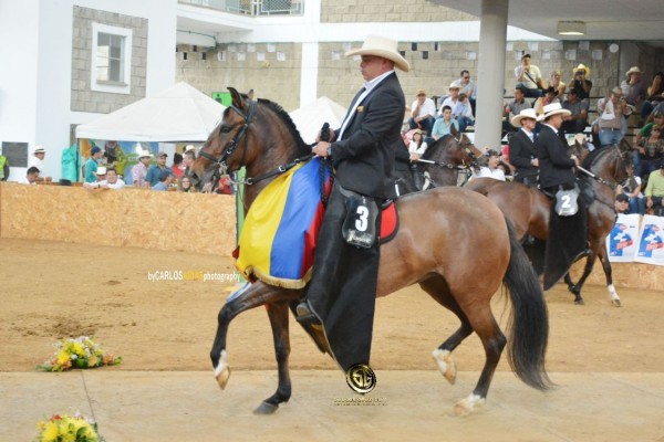 https://www.suscaballos.com/RESULTADOS XXIX Exposición Equina Grado B Bucaramanga 2018 - TROCHA Y GALOPE