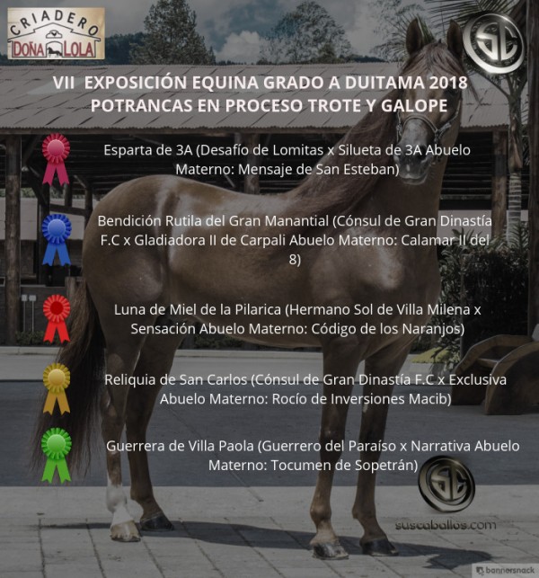 https://www.suscaballos.com/VÍDEO: Esparta Mejor, Bendición 1P, Trote Y Galope, Duitama 2018