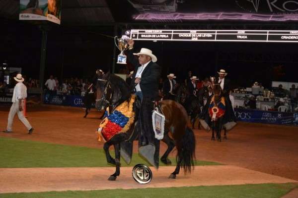 https://www.suscaballos.com/VÍDEO:Galilea Campeona, Sevillana Reservada, Trocha Colombiana, XXV Copa América