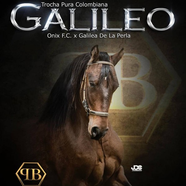 https://www.suscaballos.com/GALILEO Reproductor del Criadero La Fantasía, Inicia Preventa De Saltos!!!