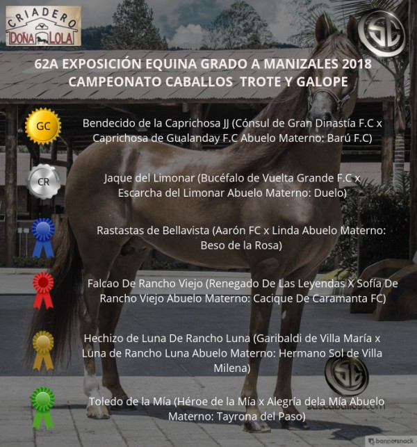 https://www.suscaballos.com/VÍDEO: Bendecido Campeón, Jaque Reservado, Trote Y Galope, Manizales 2018