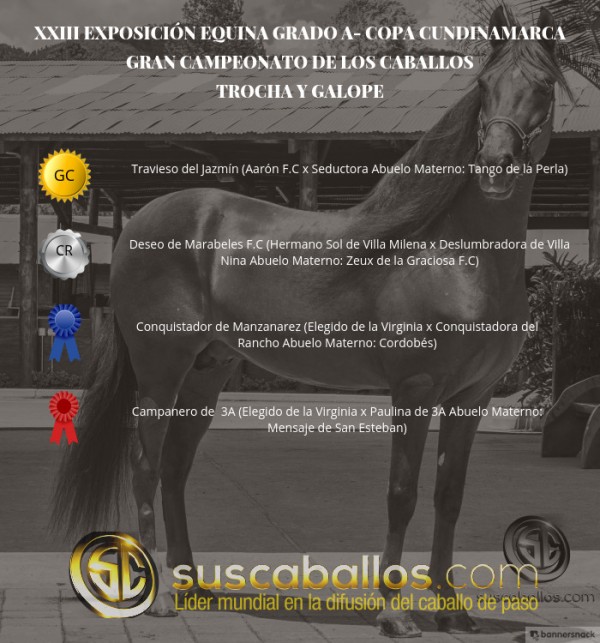 https://www.suscaballos.com/VÍDEO: Travieso Campeón,Deseo Reservado, Trocha Y Galope, Copa Cundinamarca