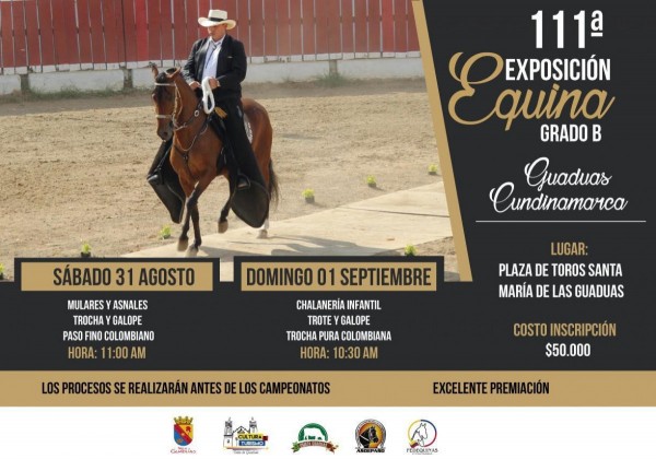 https://www.suscaballos.com/111a. Exposición Equina Grado B del municipio de GUADUAS, 31 de Agost, 1er Sept