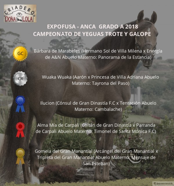 https://www.suscaballos.com/VÍDEO: Bárbara Campeona, Wuaka Wuaka Reservada, Expofusa Grado A 2018