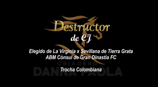 https://www.suscaballos.com/“DESTRUCTOR DE CJ @criadero_danapaola