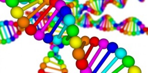 https://www.suscaballos.com/Aminoácidos ¿Que Son?
