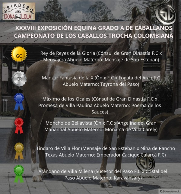 https://www.suscaballos.com/VÍDEO: Rey De Reyes Campeón, Manzur Reservado, Trocha Colombiana, Caballanos