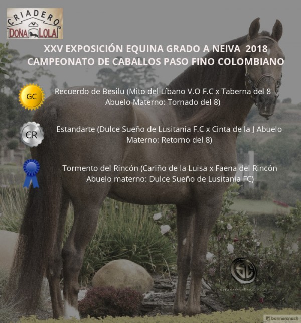 https://www.suscaballos.com/VÍDEO: Recuerdo Campeón, Estandarte Reservado, Paso Fino Colombiano - Neiva 2018