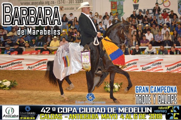 https://www.suscaballos.com/RESULTADOS 42 Copa Ciudad de Medellín Grado A, Asocaba - TROTE Y GALOPE