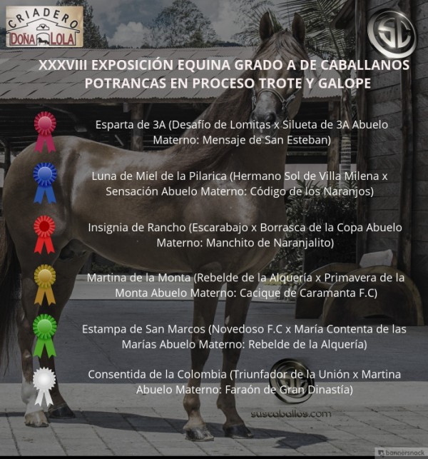 https://www.suscaballos.com/VÍDEO: Esparta Mejor, Insignia 1P, Potrancas Del Trote Y Galope, Caballanos 2018