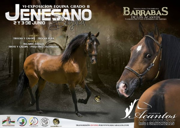 https://www.suscaballos.com/RESUTADOS VI Exposición Equina Grado B Jenesano 2018 - TROTE Y GALOPE