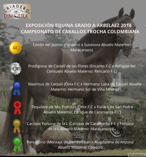 https://www.suscaballos.com/VÍDEO: Conan Campeón, Prodigioso Reservado, Trocha Colombiana, Arbeláez 2018
