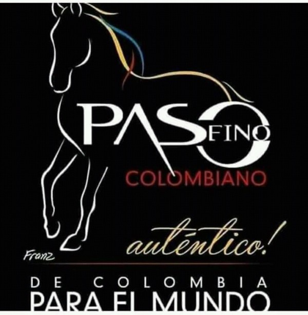 https://www.suscaballos.com/Historia del caballo criollo colombiano 