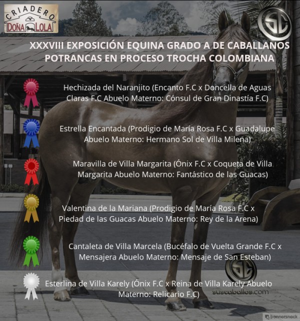 https://www.suscaballos.com/VÍDEO: Hechizada Mejor, Estrella 1P, Potrancas Trocha Colombiana,Caballanos 2018