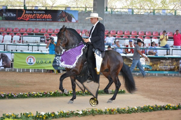 https://www.suscaballos.com/VÍDEO:Altanero Mejor, Picasso 1P, Potros De la Trocha Y Galope, Nacional 2018