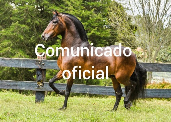 https://www.suscaballos.com/Comunicado Oficial Tentador Del Gran Chaparral