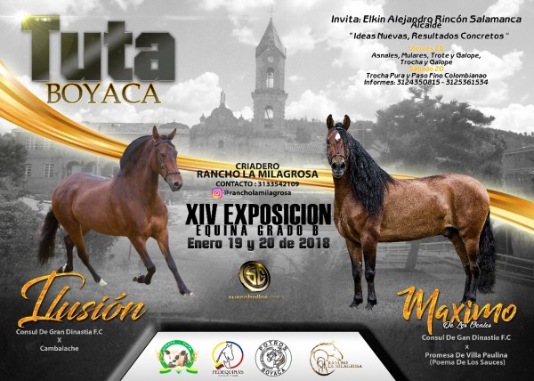 https://www.suscaballos.com/RESULTADOS XIV Exposición Equina Grado B Tuta - Boyacá 2018 - TROCHA COLOMBIANA