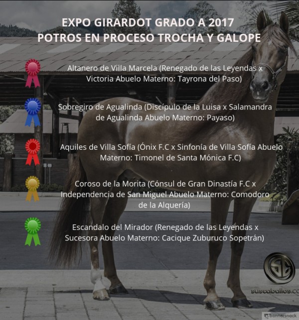 https://www.suscaballos.com/VÍDEO: Altanero Mejor, Sobregiro 1P, Potros Trocha Y Galope, Expo Girardot 2017
