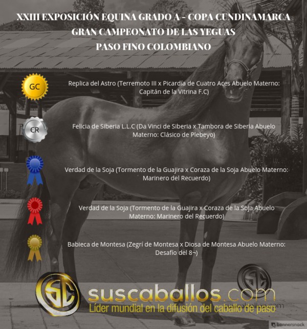 https://www.suscaballos.com/VÍDEO:Replica Campeona, Felicia Reservada,Paso Fino Colombiano,Copa Cundinamarca