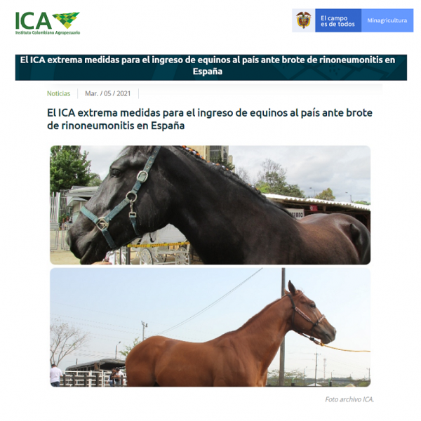 https://www.suscaballos.com/El ICA extrema medidas para el ingreso de equinos al país ante brote de rinoneumonitis en España