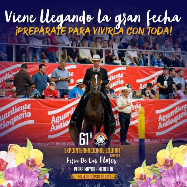 https://www.suscaballos.com/TRANSMISIÓN 61 Expointernacional Equina Grado A Feria de Flores,1 al 4 de Agosto