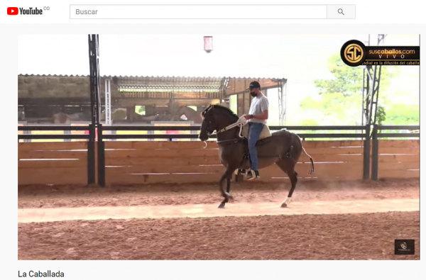 https://www.suscaballos.com/LA CABALLADA: PRIMER TERNULIA EQUINA DESDE PESEBRERAS ESTEBAN VELASQUEZ