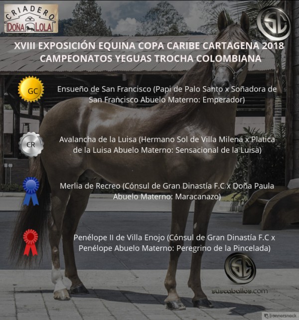 https://www.suscaballos.com/VÍDEO: Ensueño Campeona, Avalancha Reservada, Copa Caribe Cartagena