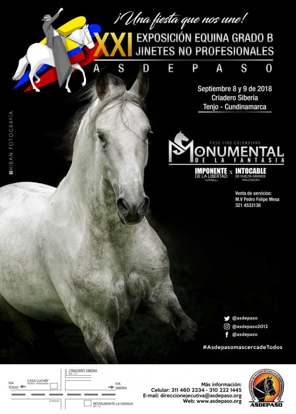 https://www.suscaballos.com/XXI Exposición Equina Grado B Jinetes No Profesionales Asdepaso, 8 y 9 De Septiembre