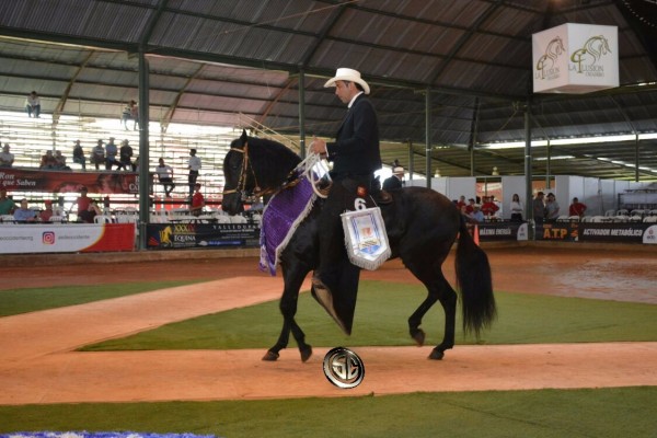 https://www.suscaballos.com/VÍDEO: Fonendo Mejor, Ferrari 1P, Potros Del Paso Fino, XXV Copa América 2017