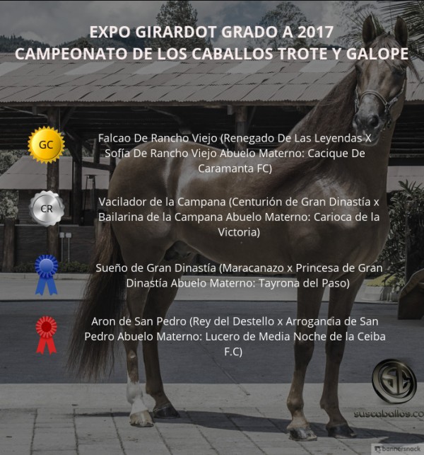 https://www.suscaballos.com/VÍDEO: Falcao Campeón, Vacilador Reservado, Trote Y Galope, Expo Girardot 2017