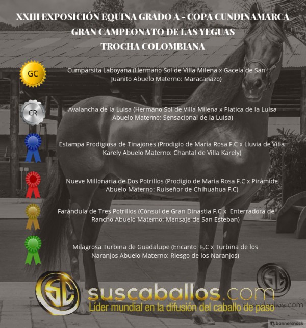 https://www.suscaballos.com/VÍDEO: Cumparsita Campeona,Avalancha Reservada, Trocha, Copa Cundinamarca