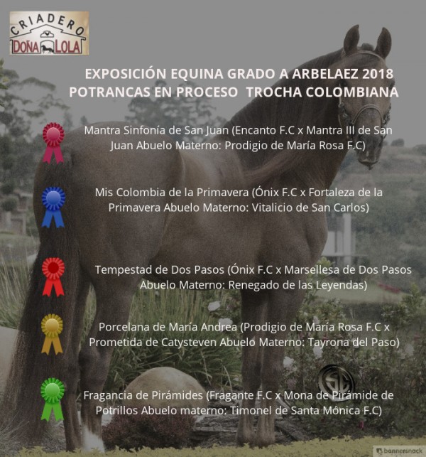 https://www.suscaballos.com/VÍDEO: Mantra Mejor, Mis Colombia 1P, Potrancas de la Trocha, Arbeláez 2018