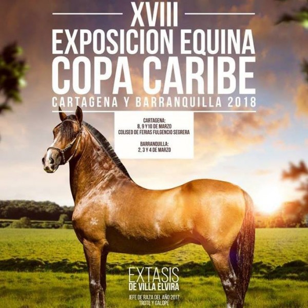 https://www.suscaballos.com/TRANSMISIÓN XVIII Exposición Equina Copa Caribe Cartagena Del 8 Al 10 De Marzo