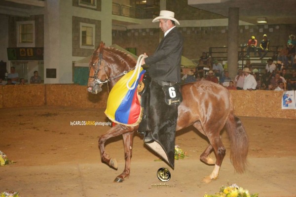 https://www.suscaballos.com/RESULTADOS XXIX Exposición Equina Grado B Bucaramanga 2018 - TROTE Y GALOPE