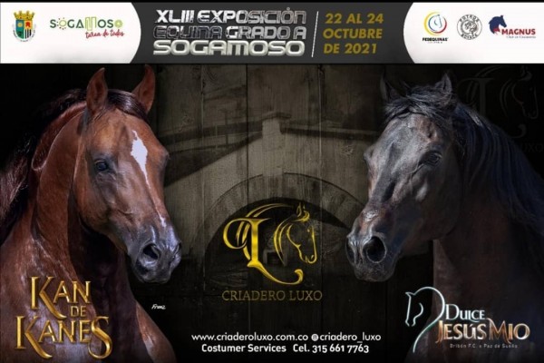 https://www.suscaballos.com/ 43 Feria Equina grado A SOGAMOSO 2021 