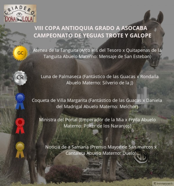 https://www.suscaballos.com/VÍDEO: Atenea Hija de Arco Iris, Gran Campeona Trote Y Galope, Copa Antioquia