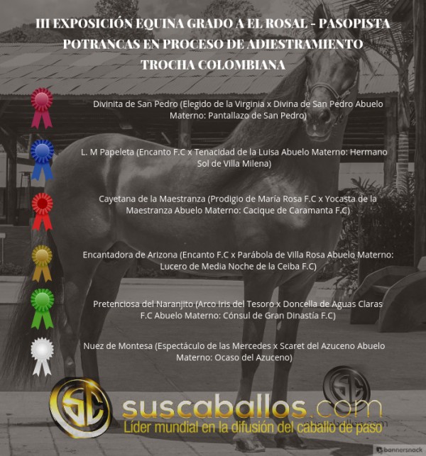https://www.suscaballos.com/VÍDEO: Divinita Mejor, L.M Papeleta 1P, Trocha Colombiana, III Exposabana