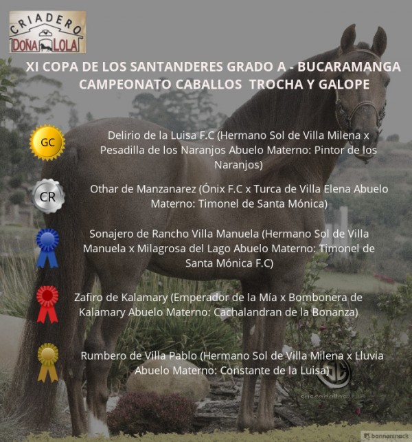 https://www.suscaballos.com/V&Iacute;DEO: Delirio Campe&oacute;n, Othar Reservado, Trocha y Galope, Bucaramanga 2018