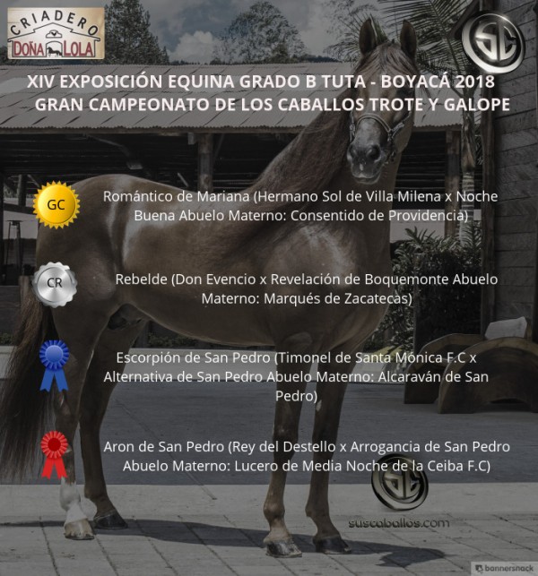 https://www.suscaballos.com/VÍDEO: Romántico Campeona, Rebelde Reservado, Trote Y Galope, Grado B Tuta 2018