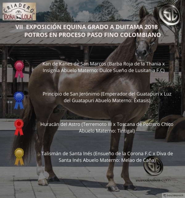 https://www.suscaballos.com/VÍDEO: Kan De Kanes Mejor, Principio 1er, Potros Paso Fino Colombiano, Duitama