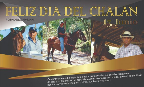 https://www.suscaballos.com/Feliz Día del Chalán, 13 de Junio!!!