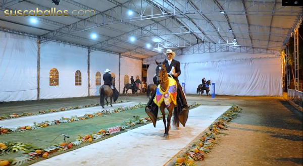 https://www.suscaballos.com/ CAMPEONATO DE YEGUAS TROTE Y GALOPE