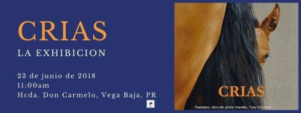 https://www.suscaballos.com/PROPASO Invita: Crías La Exhibición