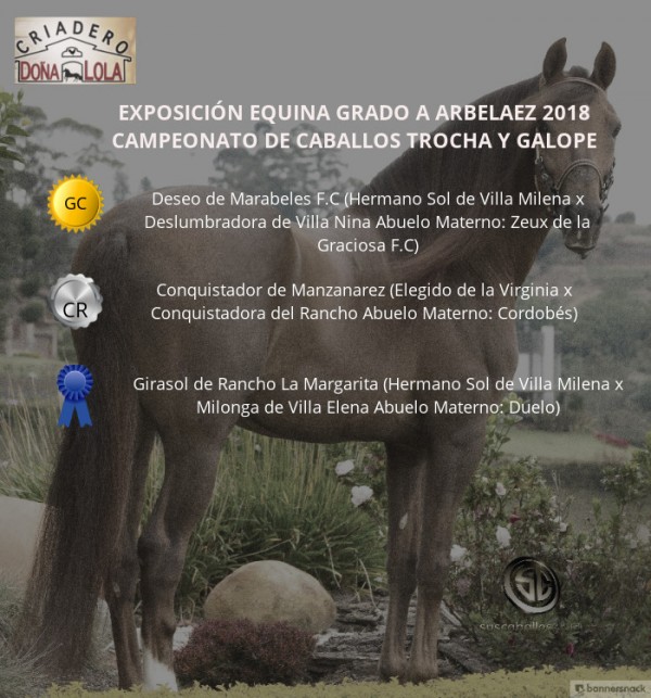 https://www.suscaballos.com/VÍDEO: Deseo Campeón, Conquistador Reservado, Trocha Y Galope, Arbeláez