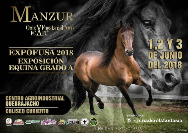 https://www.suscaballos.com/Conectate Con Suscaballos Del 1-3 De Junio y Disfruta de 3 Grandes Transmisiones
